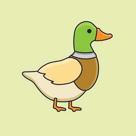 An image of a very nice duck on a green background.