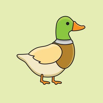 An image of a very nice duck on a green background.